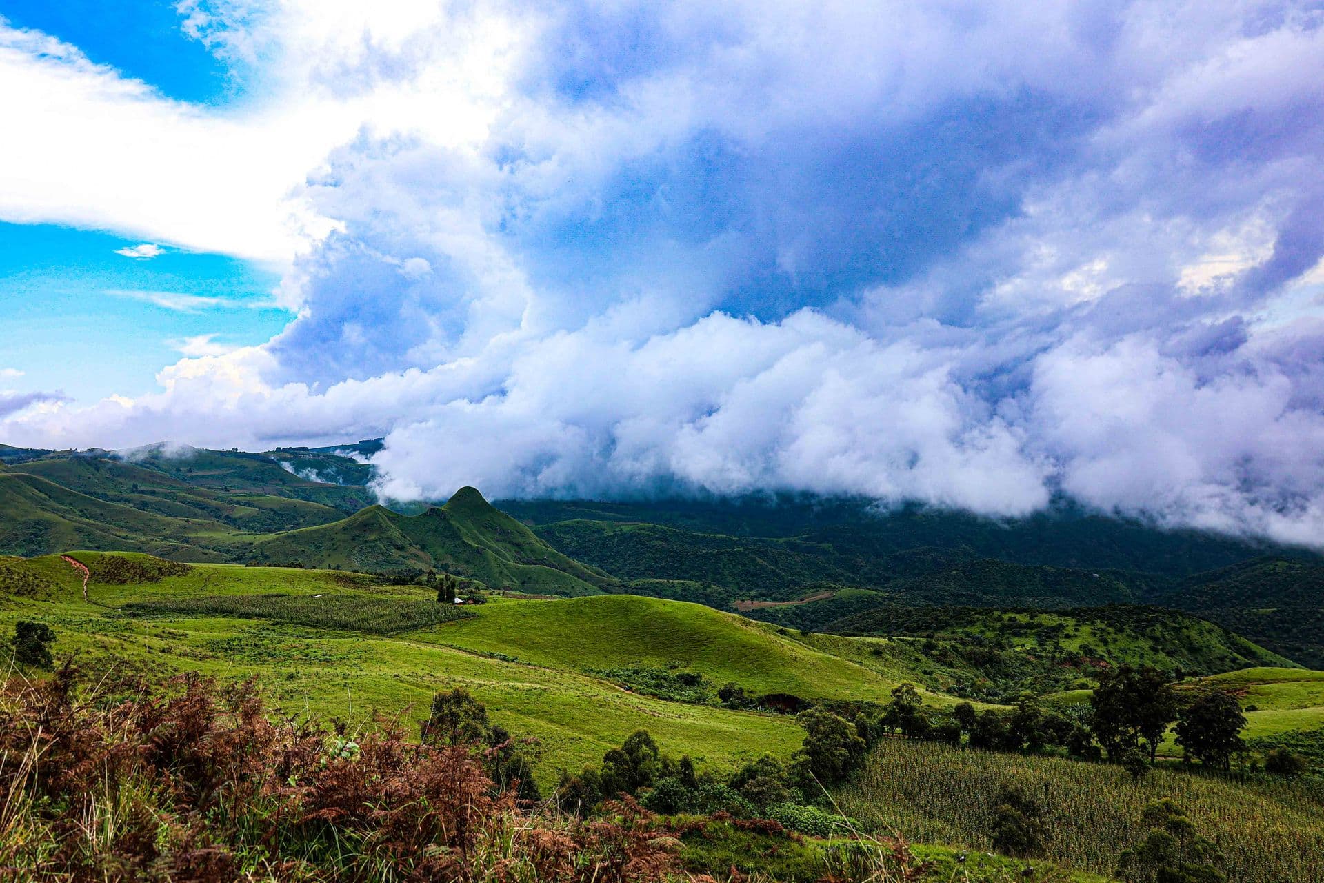 Mambilla Plateau