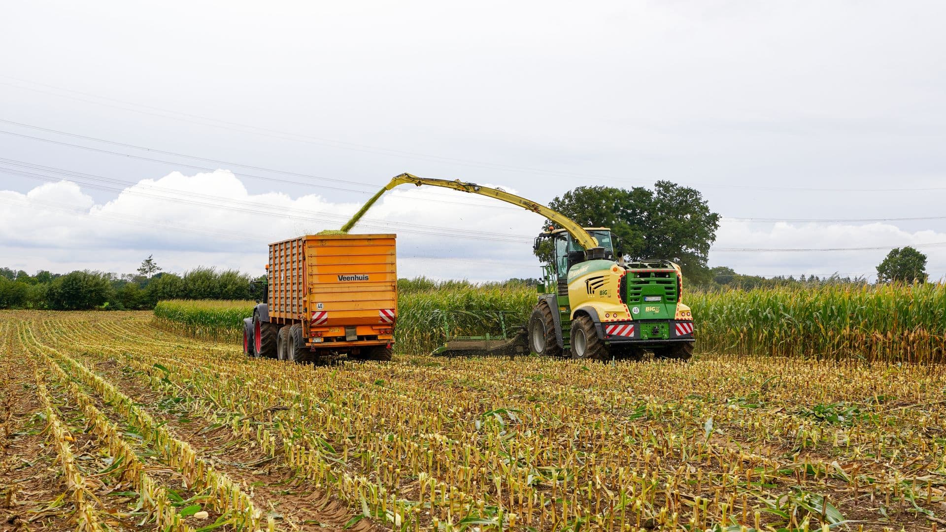 Agriculture & Agro-Processing