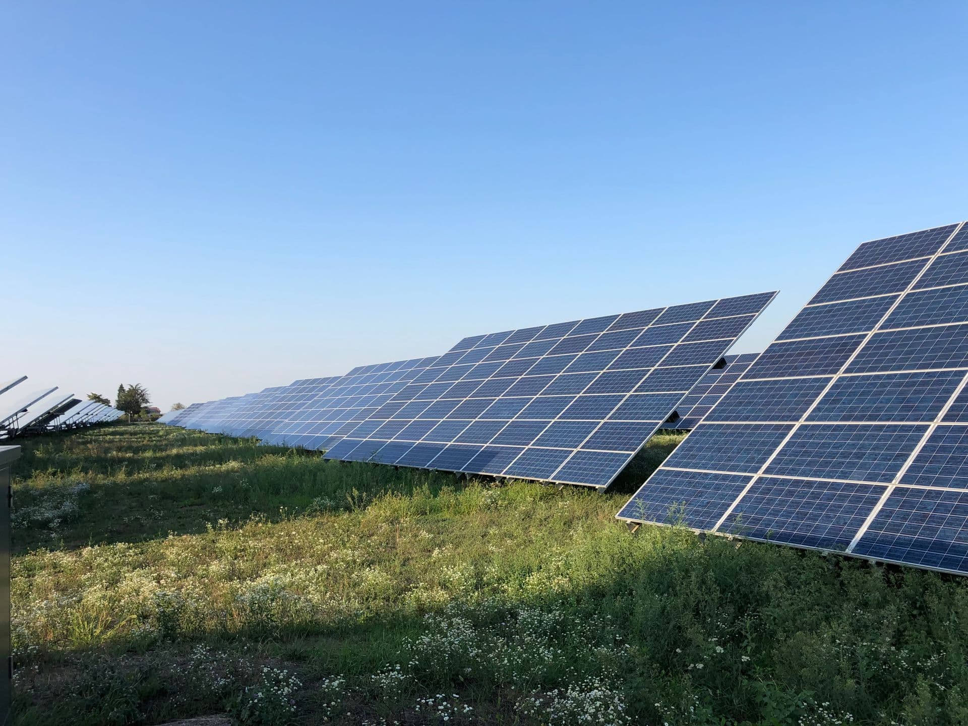 Renewable Energy